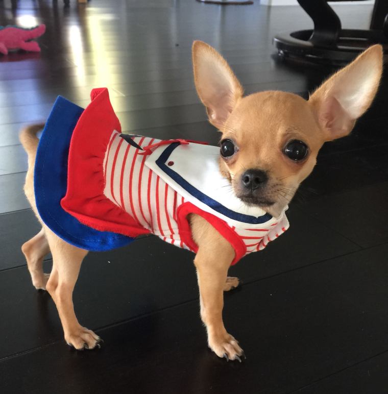 10478800_1074665382545444_661345097178783423_o