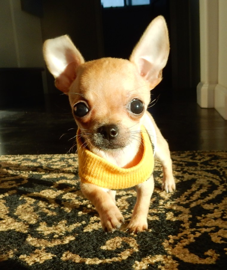 DSCN0600 - Version 2